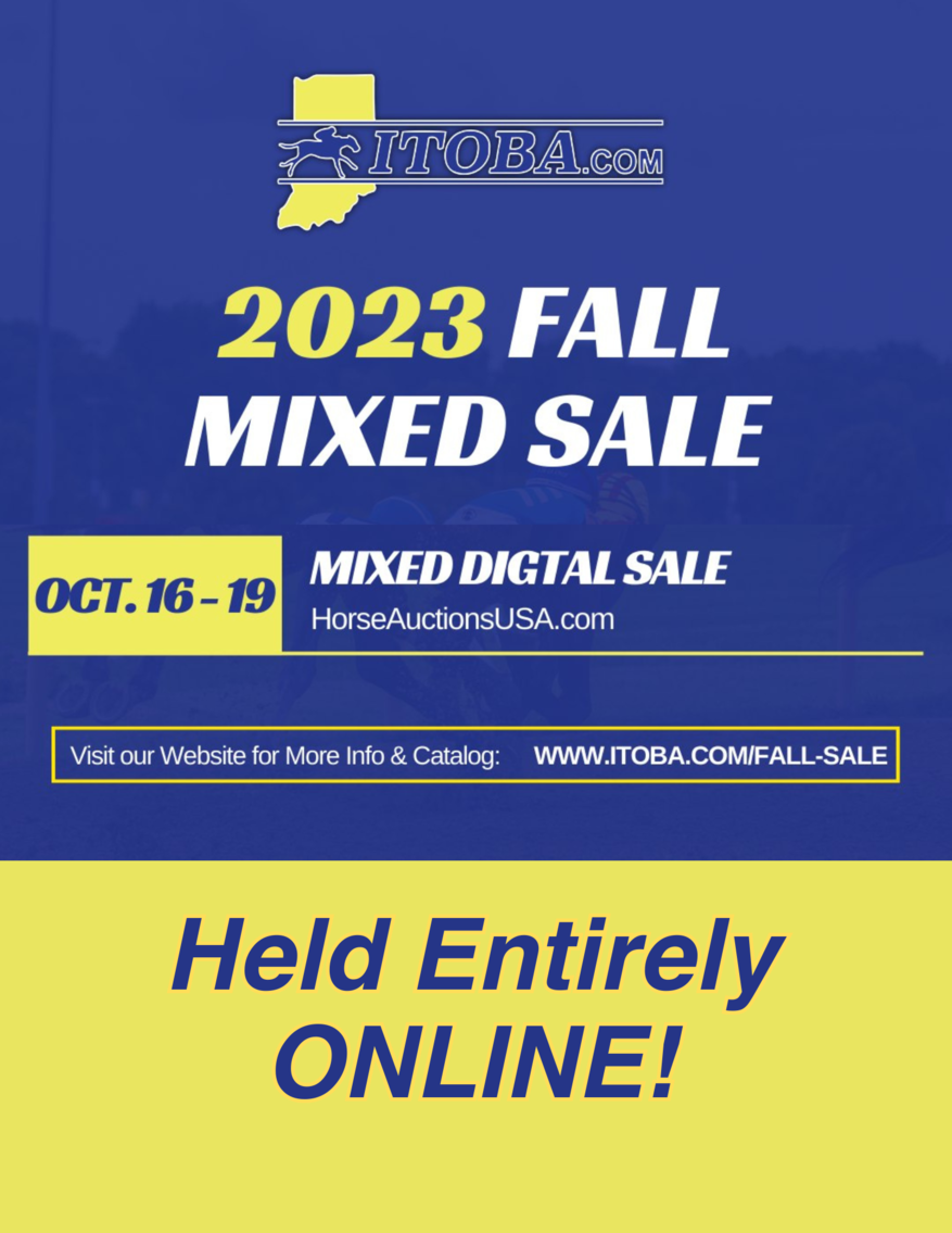 Image for ITOBA Fall Mixed DIGITAL SALE - ENTIRELY ONLINE! October 16th-19th