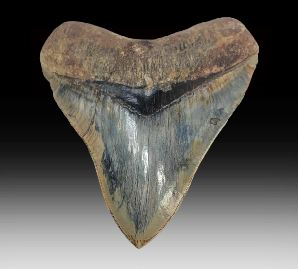 Image for October 2023 Premier Auction