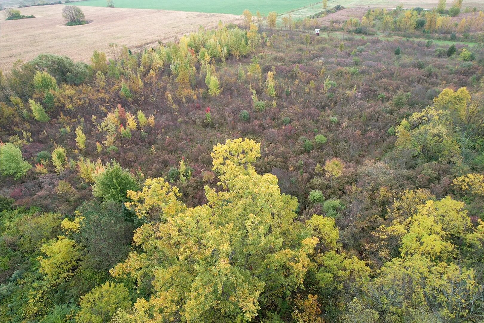 Image for MINIMUM BID AUCTION $199,000! 1831 Middleton Pike