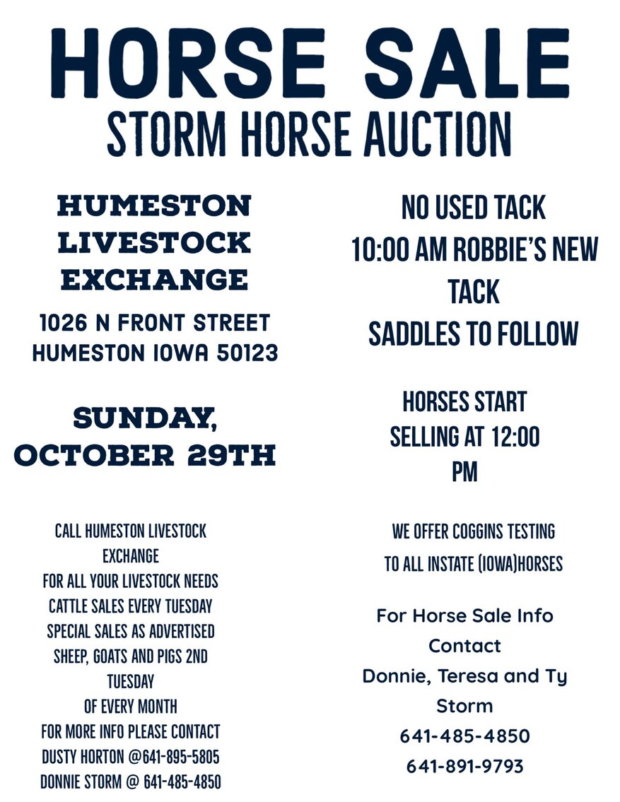 Image for Storm Horse Auction SUNDAY, October 29th - Humeston, Iowa