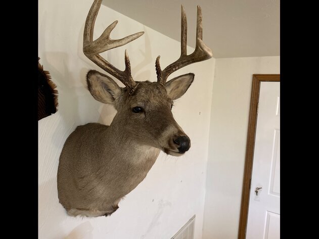 Image for Mazemke #2 Household - Clintonville