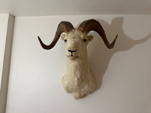 Image for Mazemke #2 Household - Clintonville