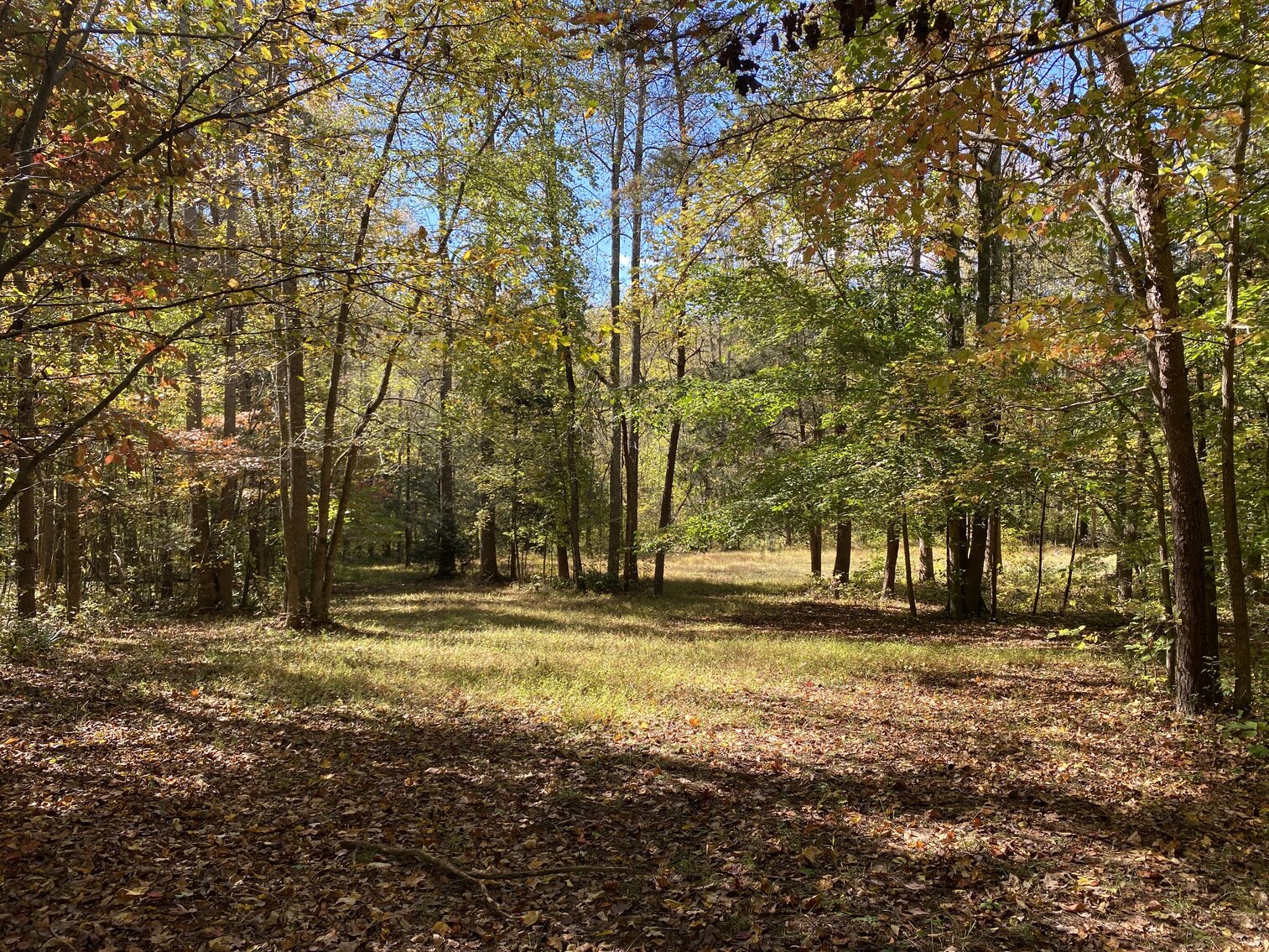 Image for 6161 Country Highland Lane