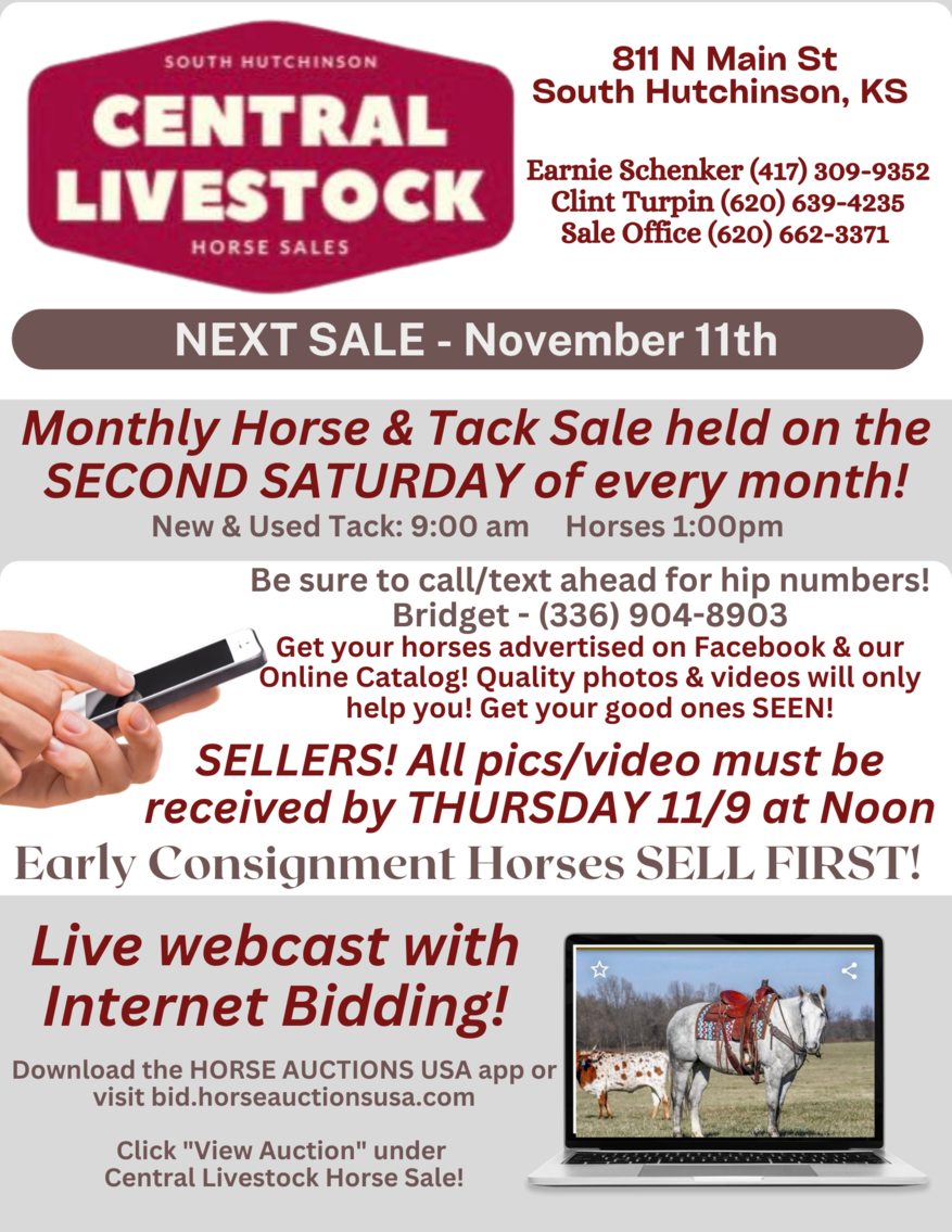Image for Central Livestock Horse Sale -  November 11th -  South Hutchinson, Kansas