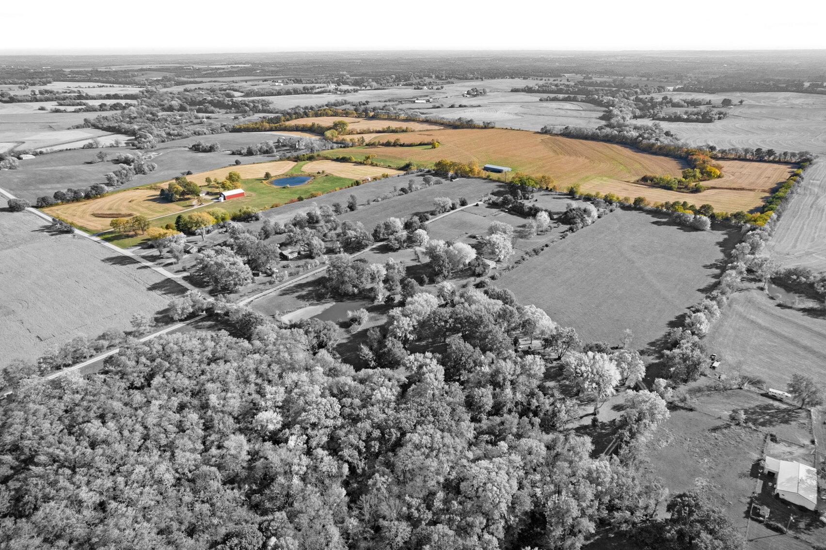 Image for Windy Ridge Farm Land Auction