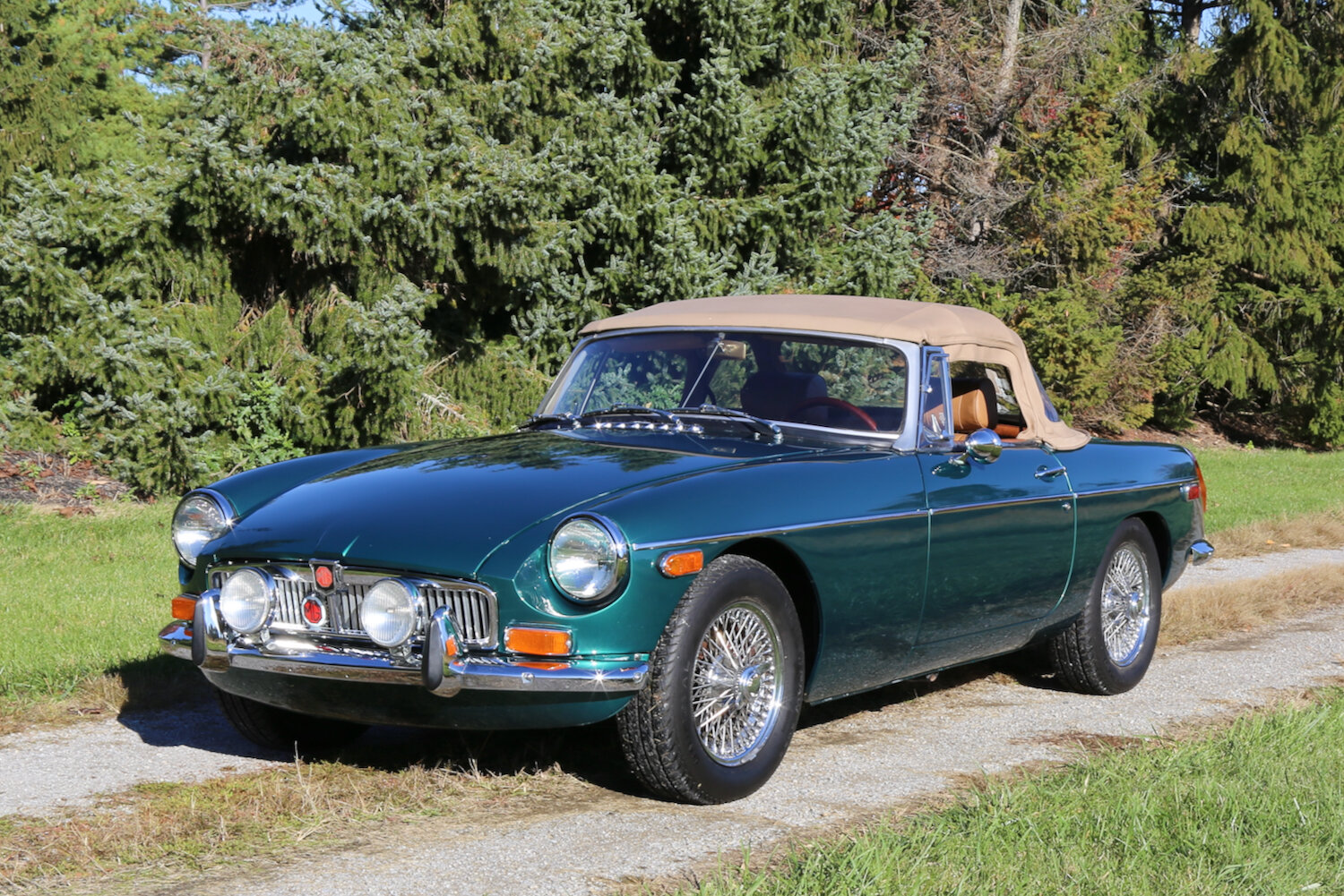 Image for The Otto Siderits Collection