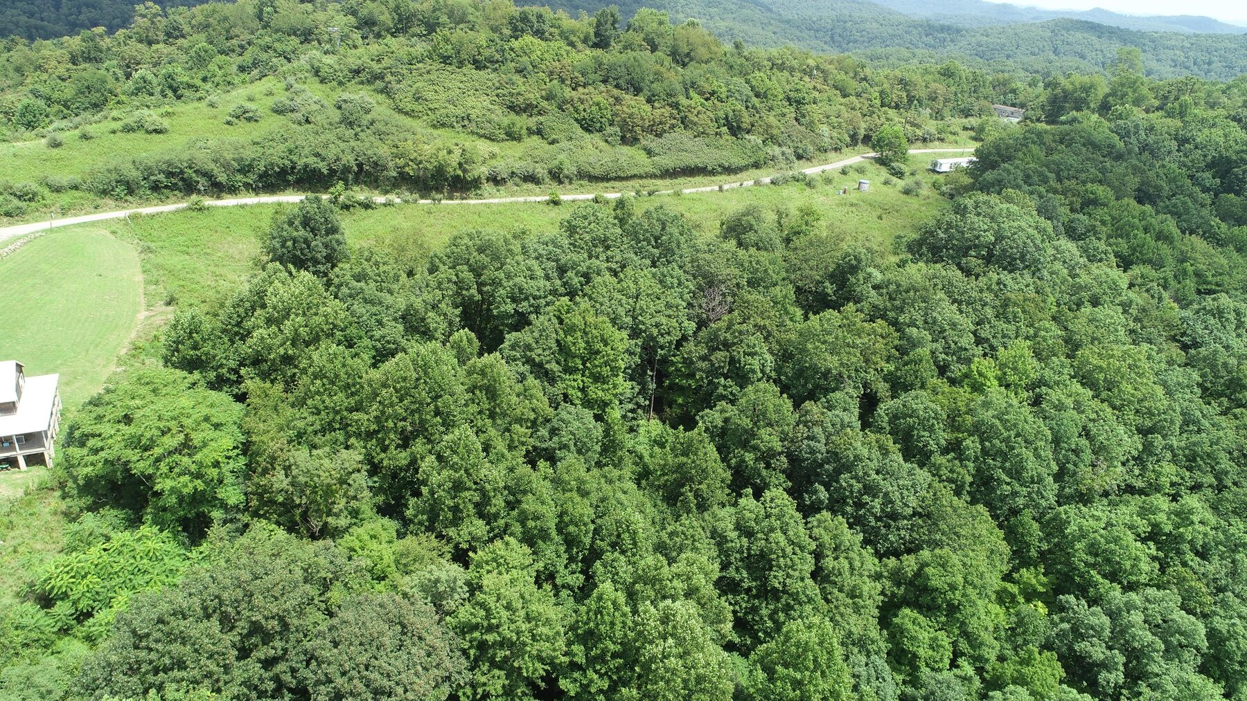 Image for SOLD $192,500 - 3 Bedroom on 39 Acres Selling to the Highest Bidder