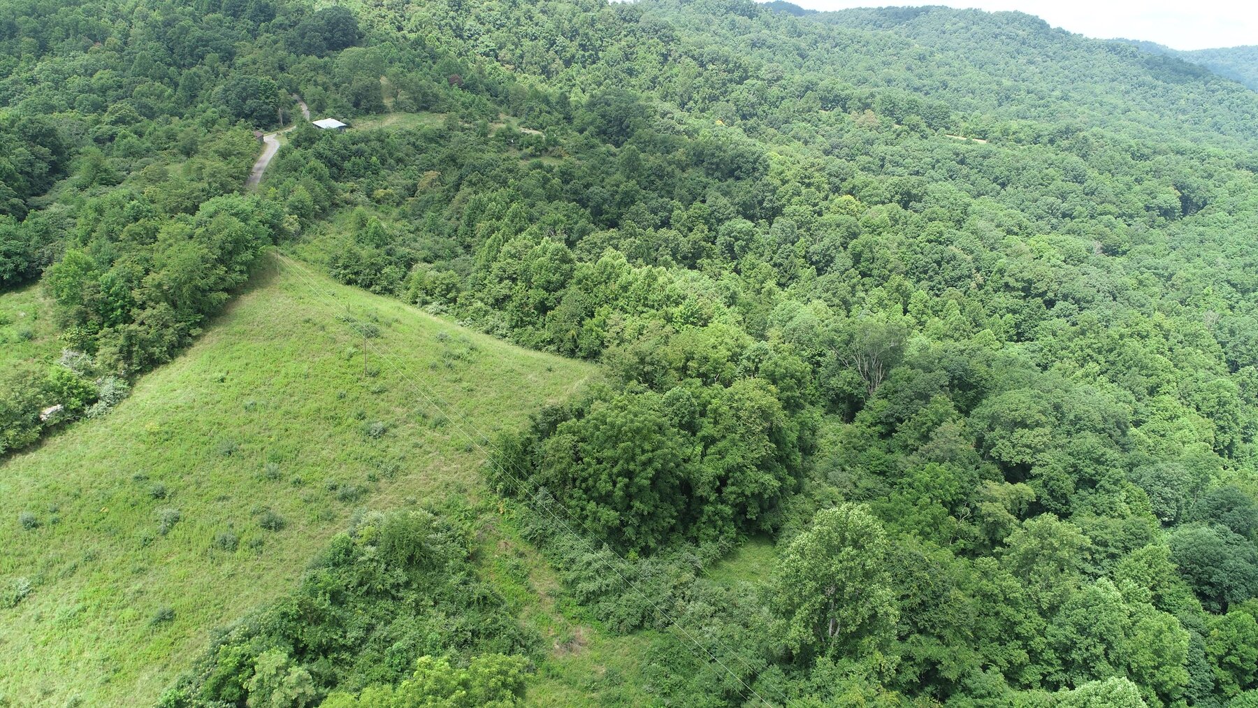 Image for SOLD $192,500 - 3 Bedroom on 39 Acres Selling to the Highest Bidder