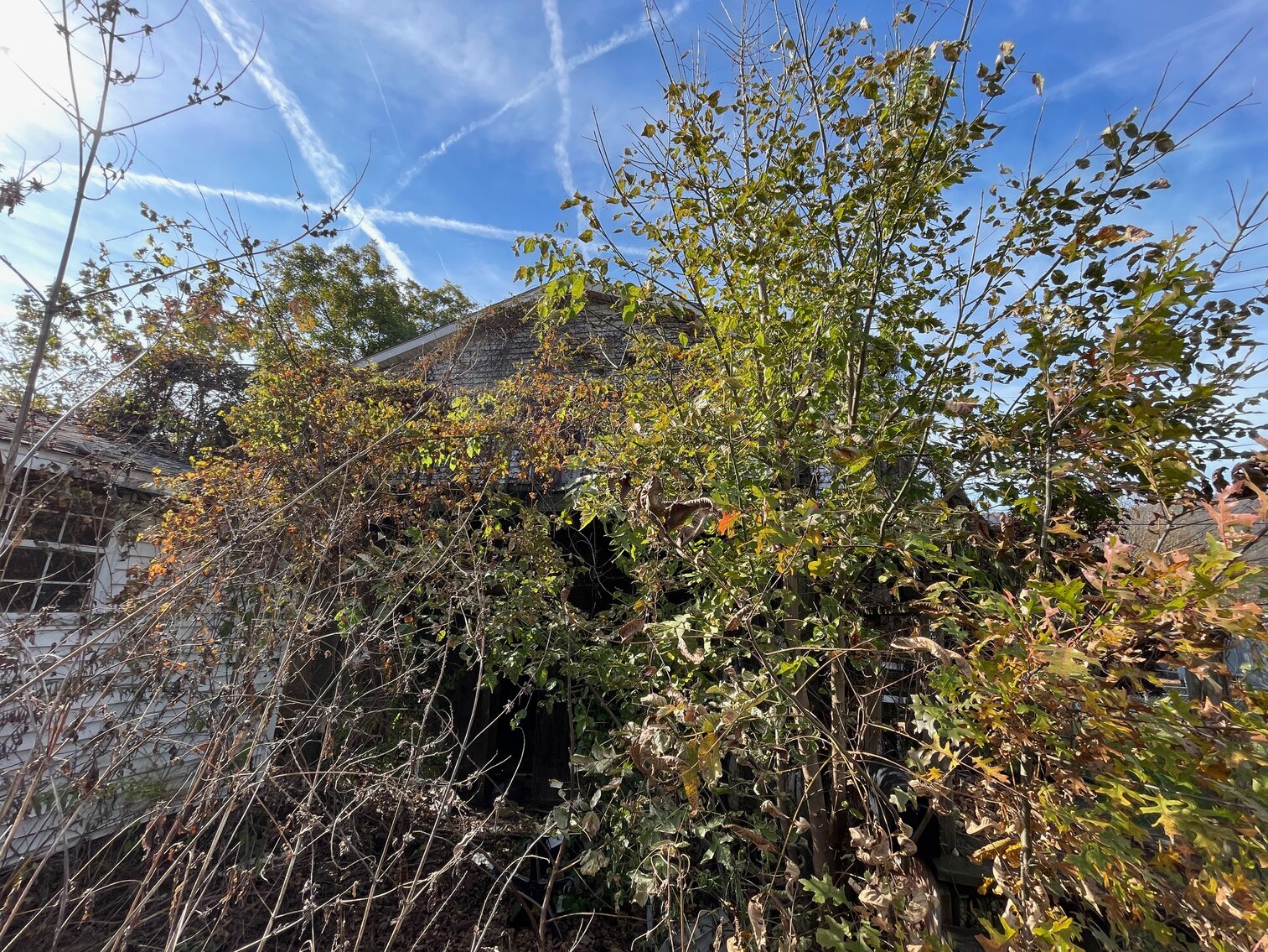 Image for SOLD - 3 Bedroom Project Home with Garage Apartment