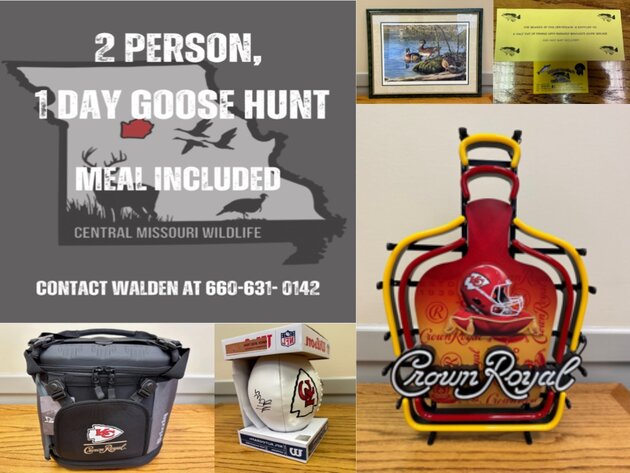 Image for Whiteman BCC Benefit Auction