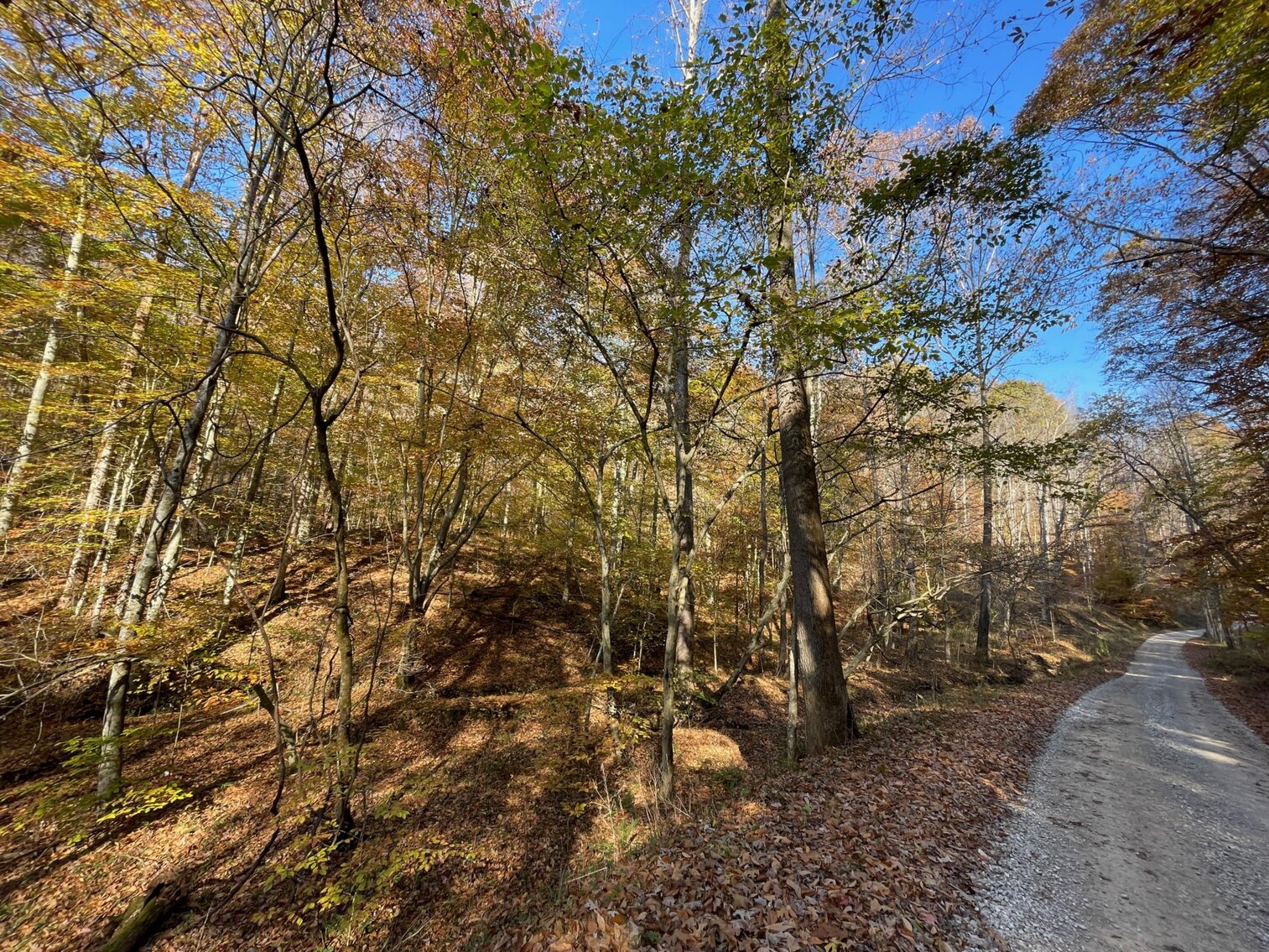Image for SOLD $68,200 - 80 Wooded Acres in Kanawha County