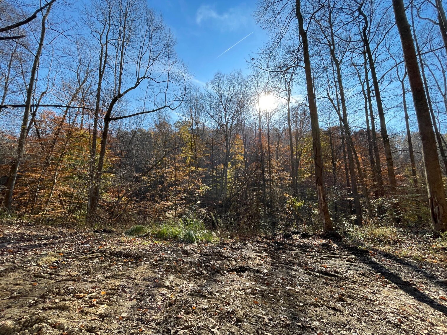 Image for SOLD $68,200 - 80 Wooded Acres in Kanawha County