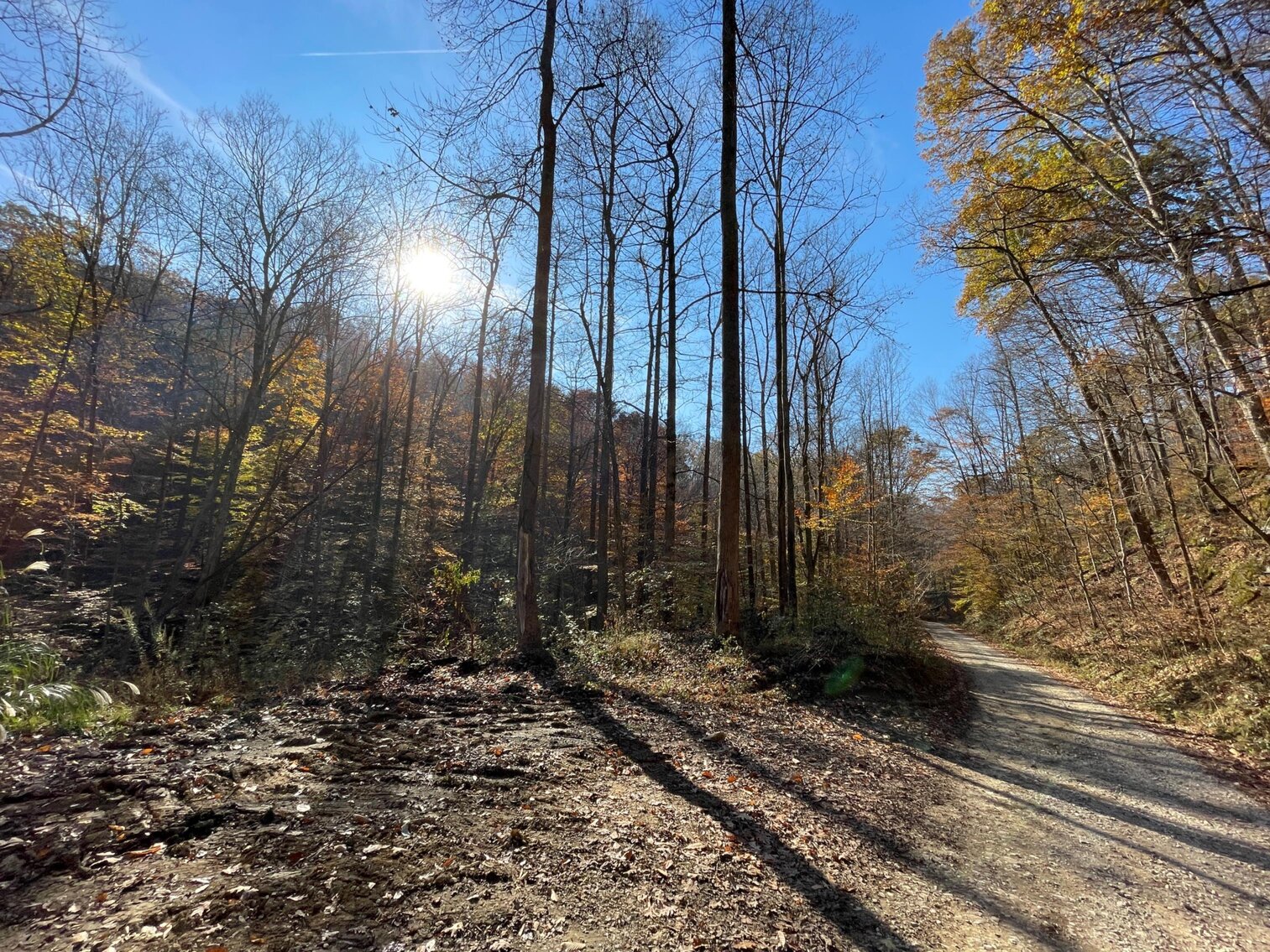 Image for SOLD $68,200 - 80 Wooded Acres in Kanawha County