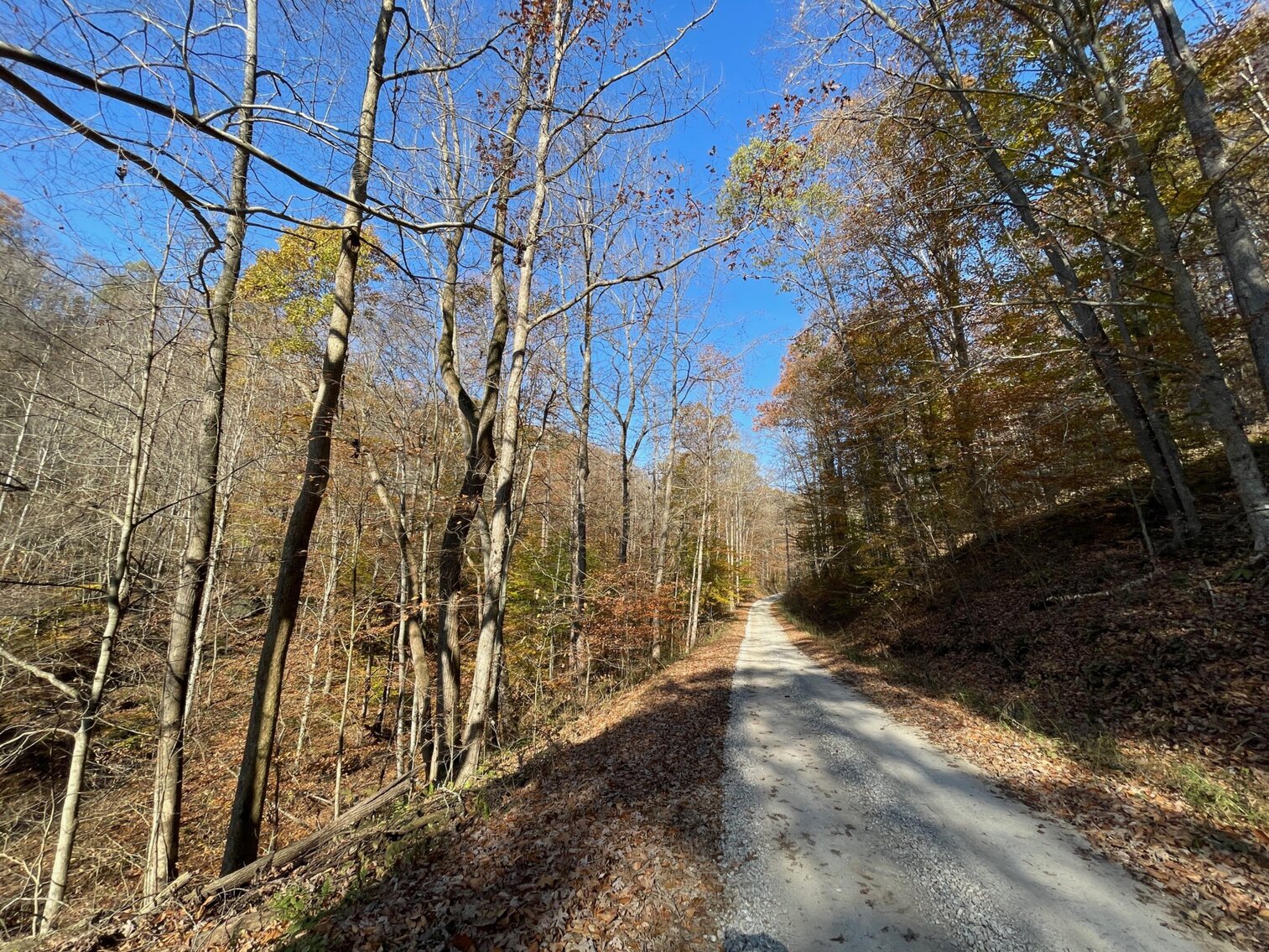 Image for SOLD $68,200 - 80 Wooded Acres in Kanawha County