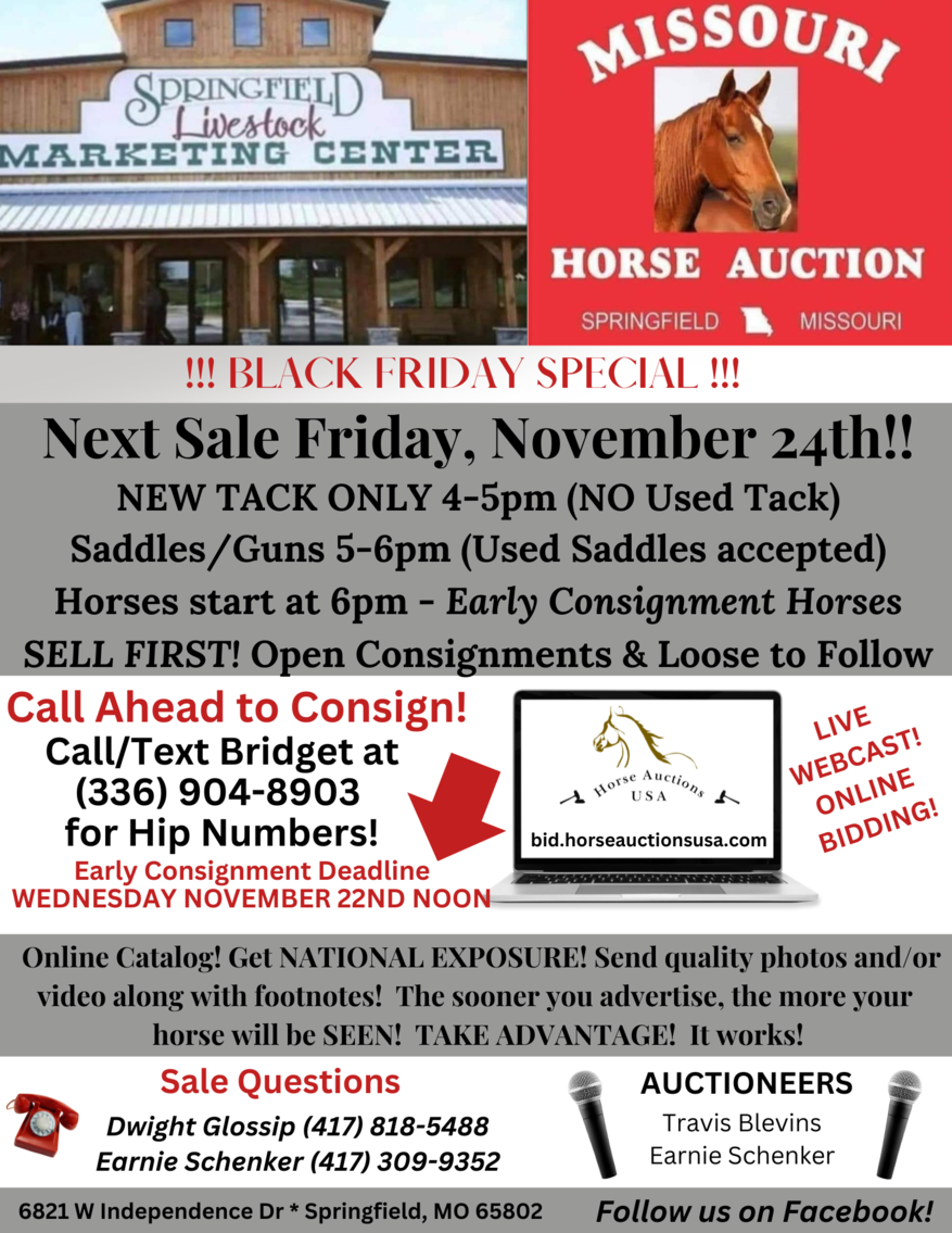 Image for Missouri Horse Auction FRIDAY NOVEMBER 24TH BLACK FRIDAY SPECIAL- Springfield, MO
