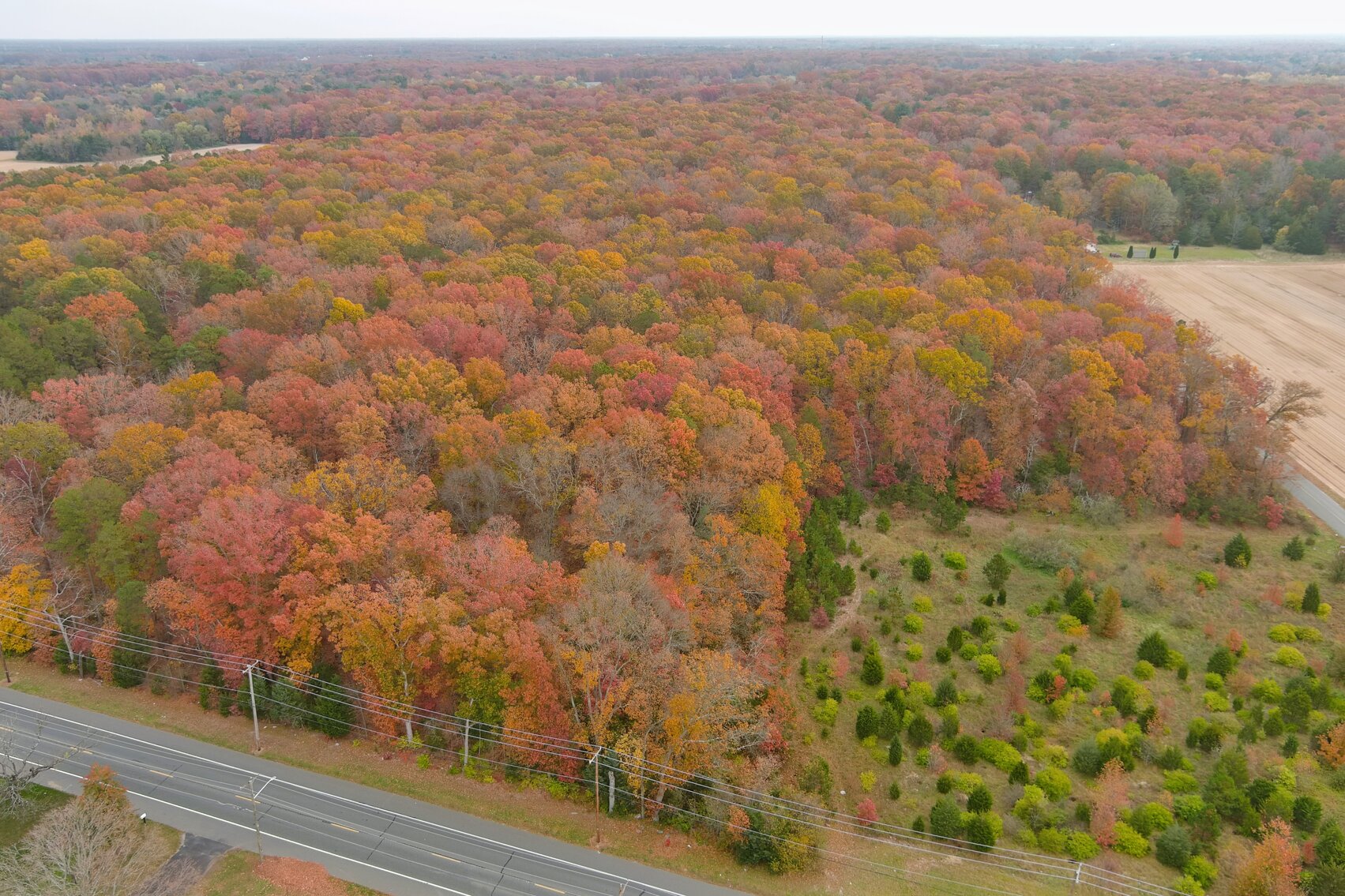 Image for Rare-Find 46.71 +/- Acres Situated in City of Vineland and Franklin Township