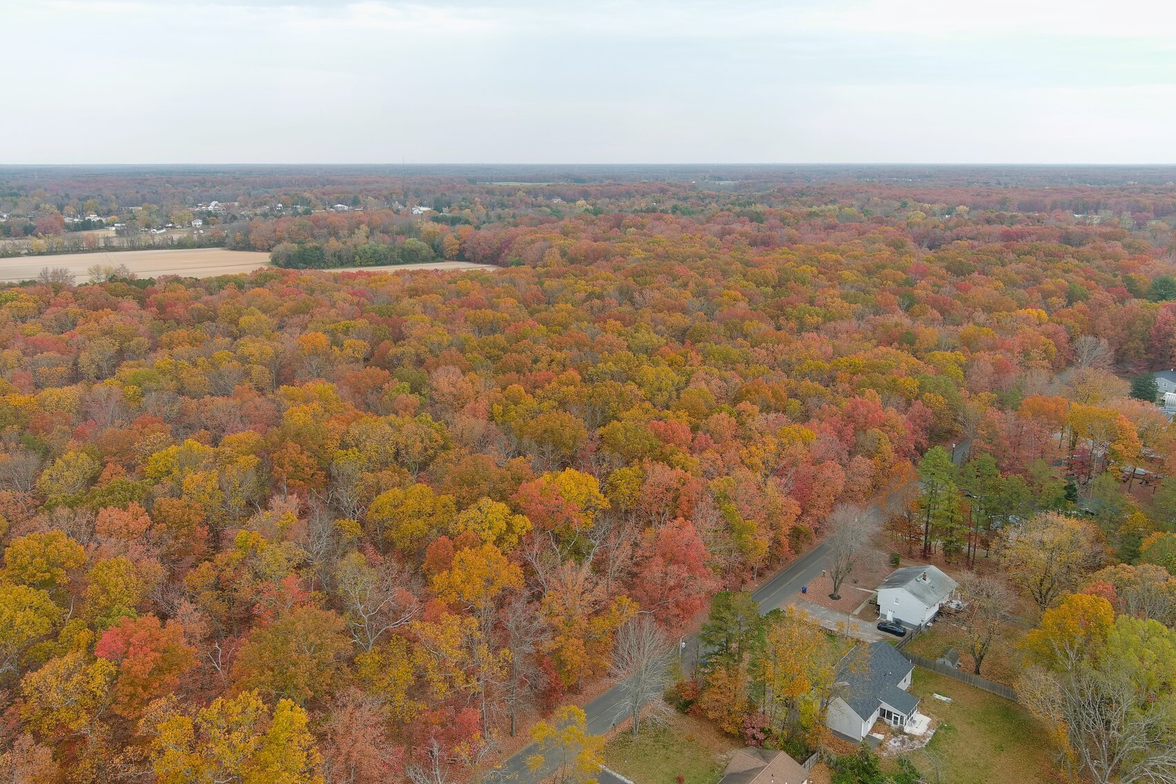 Image for Rare-Find 46.71 +/- Acres Situated in City of Vineland and Franklin Township