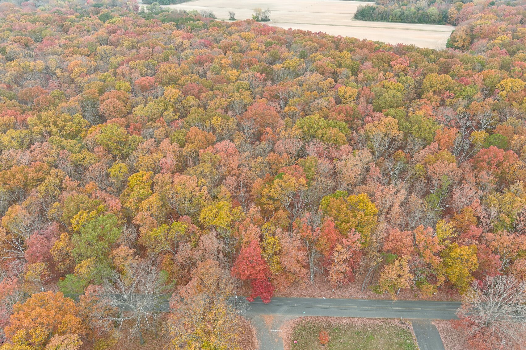 Image for Rare-Find 46.71 +/- Acres Situated in City of Vineland and Franklin Township