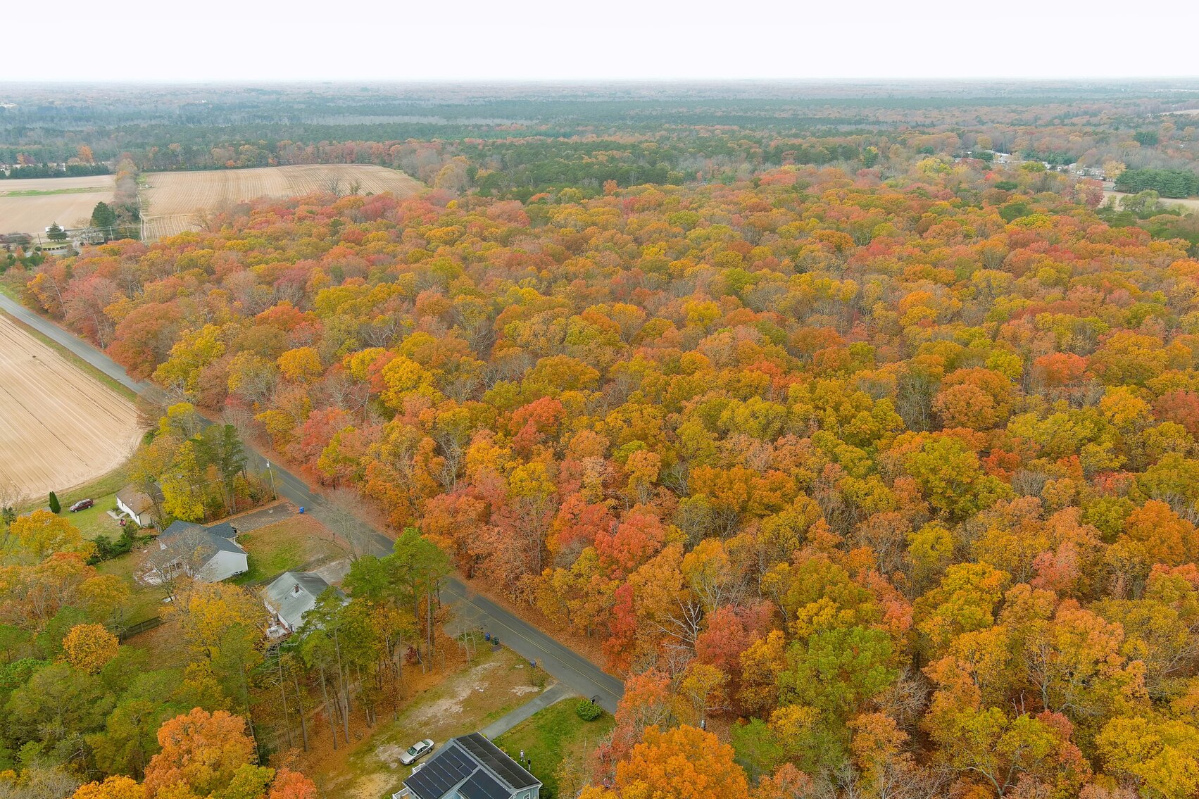 Image for Rare-Find 46.71 +/- Acres Situated in City of Vineland and Franklin Township