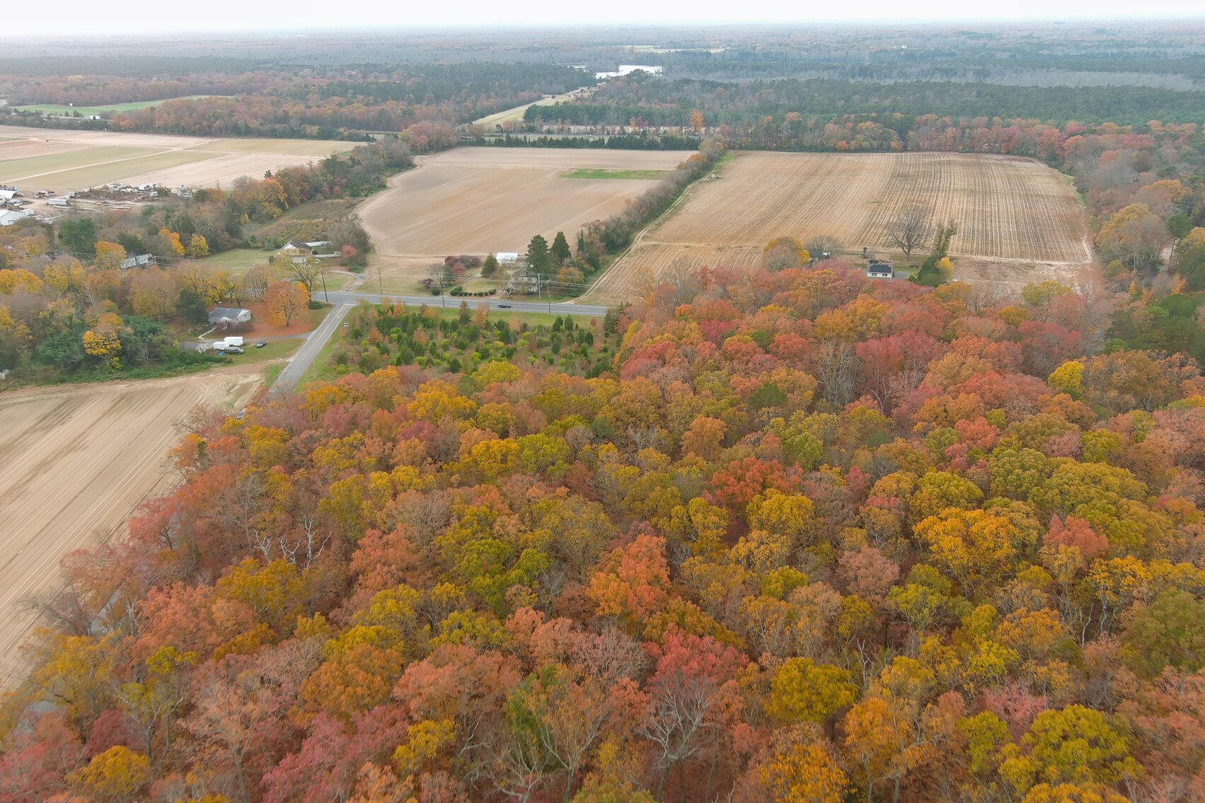 Image for Rare-Find 46.71 +/- Acres Situated in City of Vineland and Franklin Township