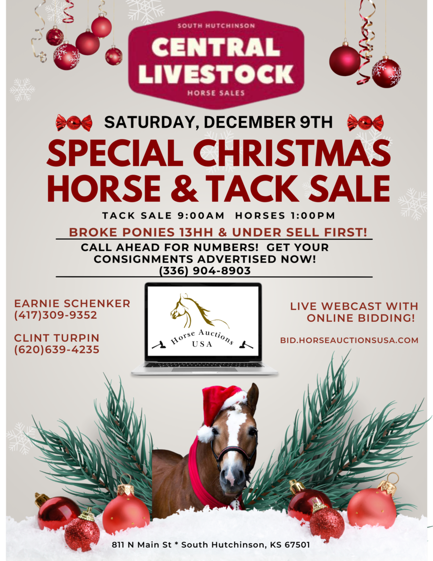Image for Central Livestock Horse Sale - Christmas Special December 9th  South Hutchinson, Kansas