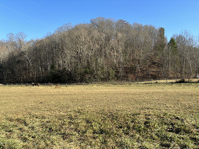 Image for FLEENORS MEMORIAL ROAD  BRISTOL, VA 24202