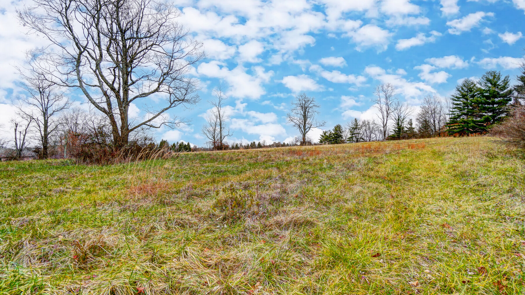 Image for 16 Premier Acres Surrounded by Rivers Bend TPC Golf Course