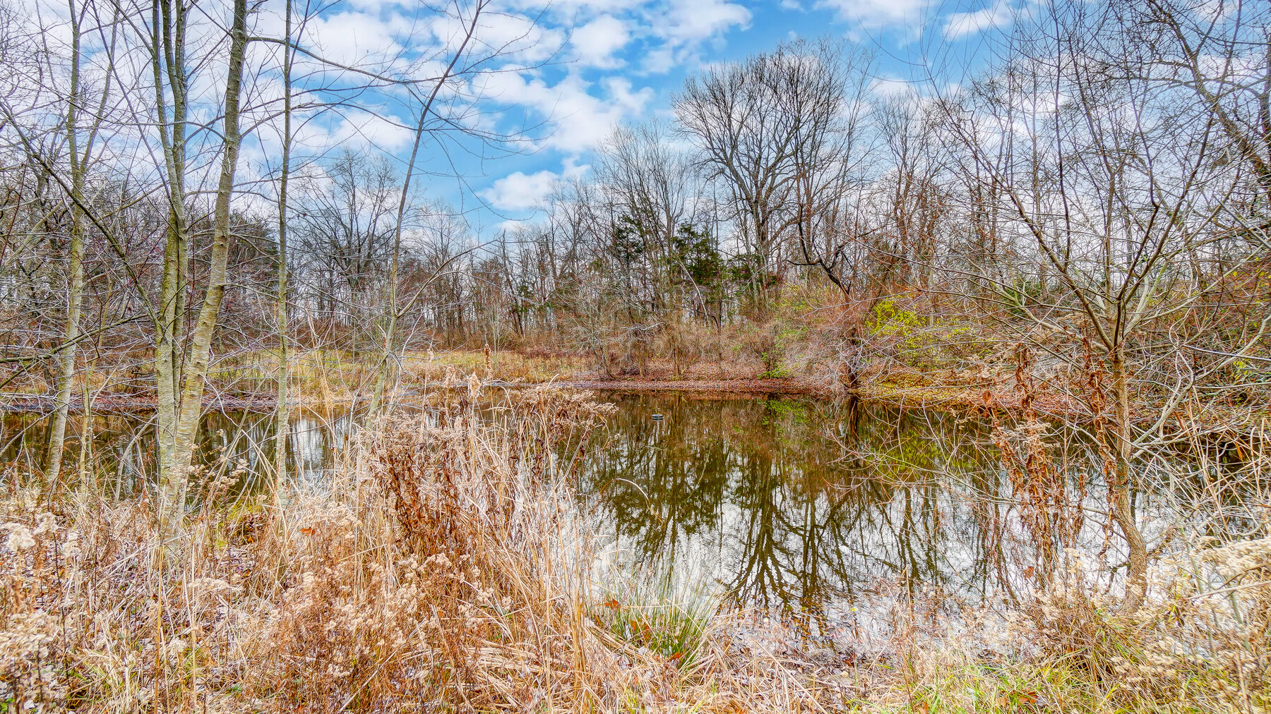 Image for 16 Premier Acres Surrounded by Rivers Bend TPC Golf Course