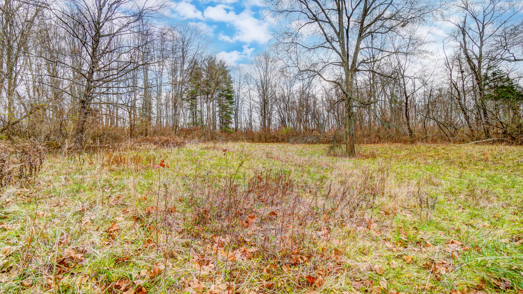 Image for 16 Premier Acres Surrounded by Rivers Bend TPC Golf Course