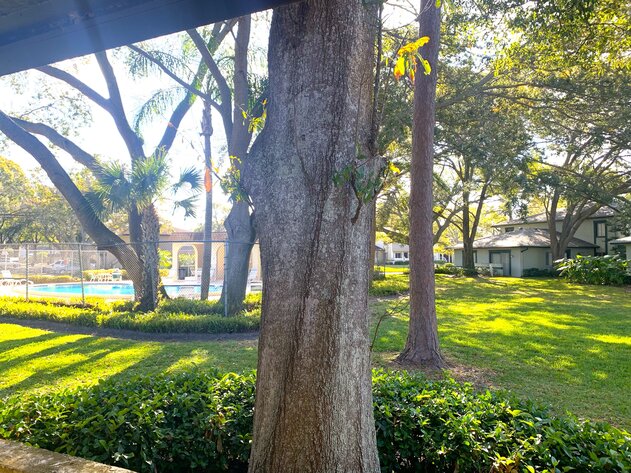 Image for 2938 Lichen Ln. #A