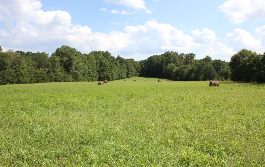 Image for ABSOLUTE: 2 Homes in Amherst VA