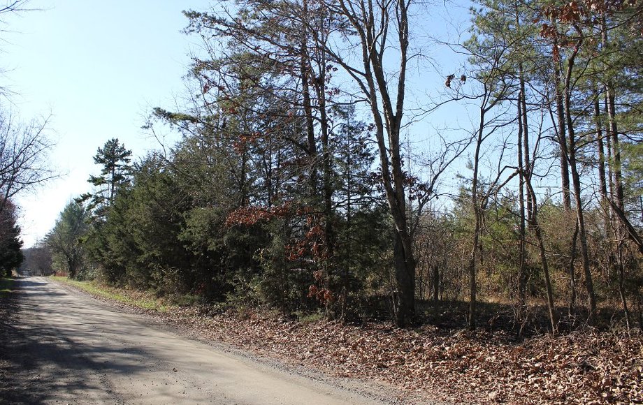 Image for Bankruptcy: 15ac in Madison VA