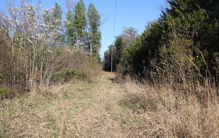 Image for Bankruptcy: 15ac in Madison VA