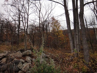 Image for Private Mountain Retreat on 92 Acres