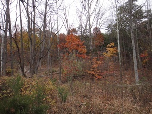 Image for Private Mountain Retreat on 92 Acres