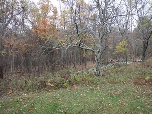 Image for Private Mountain Retreat on 92 Acres