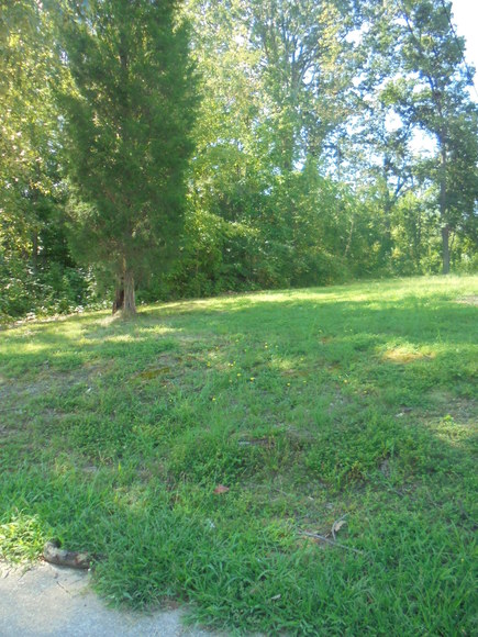 Image for ALL UNDER CONTRACT~REAL ESTATE AUCTIONS (HOUSE, COMMERCIAL BUILDING, 7-VACANT LOTS, SOME PERSONAL PROPERTY)