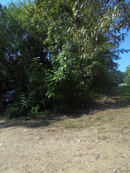 Image for ALL UNDER CONTRACT~REAL ESTATE AUCTIONS (HOUSE, COMMERCIAL BUILDING, 7-VACANT LOTS, SOME PERSONAL PROPERTY)