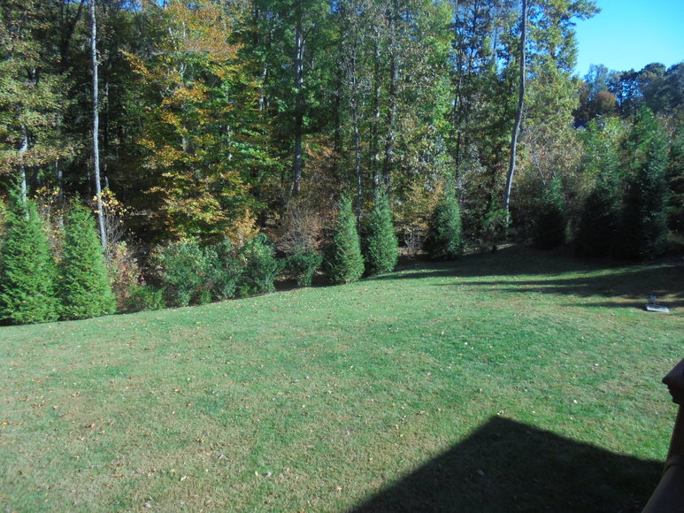 Image for CUSTOM BUILT HOME~REAL ESTATE AUCTION