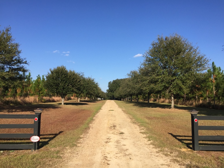 Image for 536+/- Acre Plantation Tract