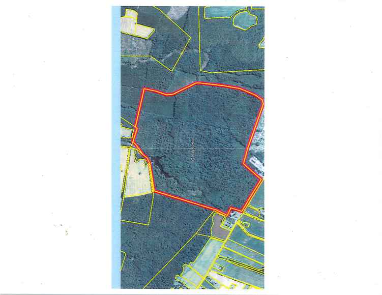 Erica Rd., Westmoreland County, VA