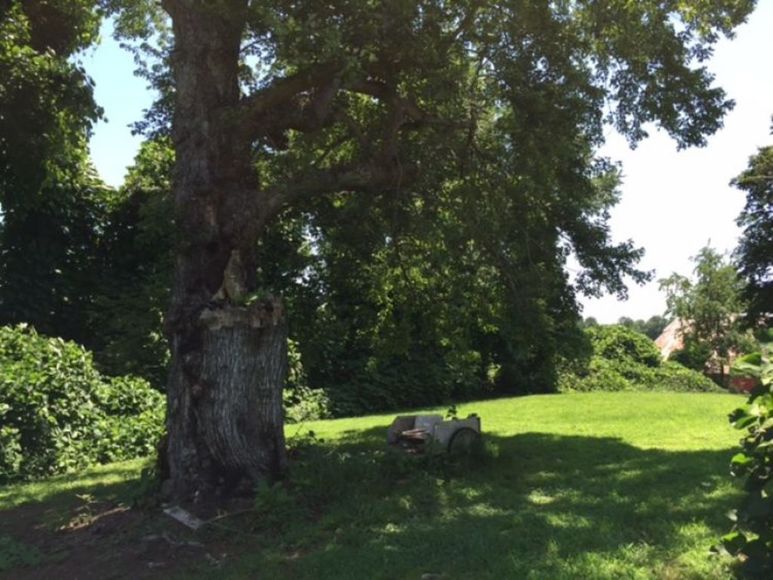 Image for Real Estate & Personal Property Auction - Dobson, NC