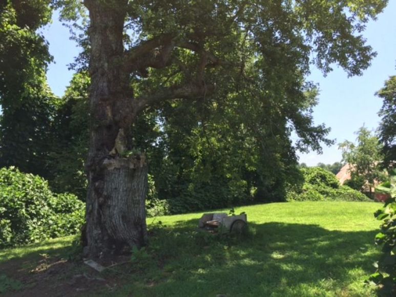 Image for Real Estate & Personal Property Auction - Dobson, NC