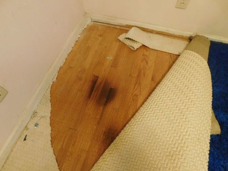 Image for Brick Home on 8 Acres - Sandy Ridge, Stokes County, NC