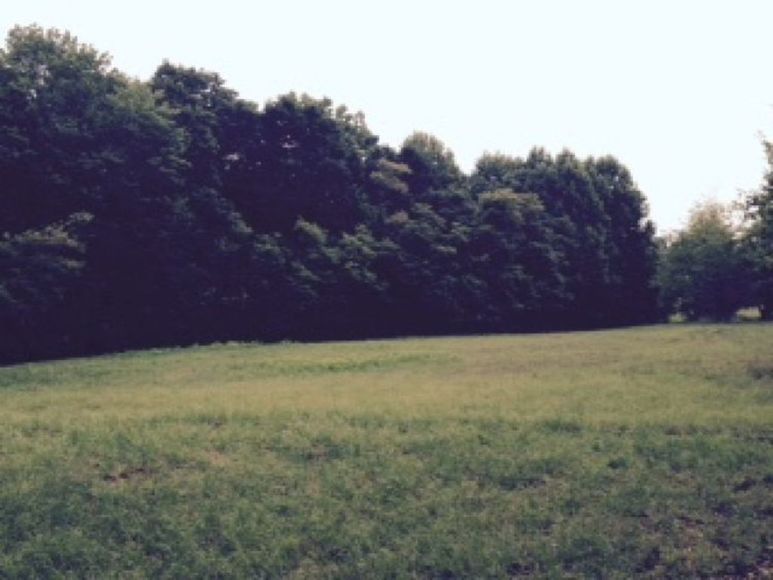 Image for Estate Auction - Pilot Mountain, NC