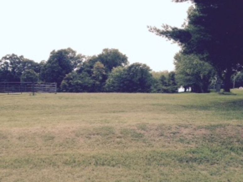 Image for Estate Auction - Pilot Mountain, NC