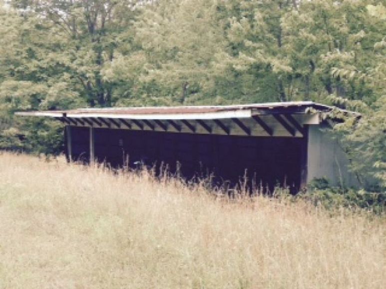 Image for Estate Auction - Pilot Mountain, NC