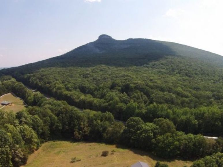 Image for Estate Auction - Pilot Mountain, NC