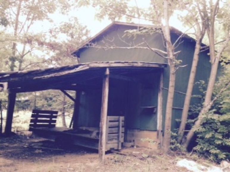 Image for Estate Auction - Pilot Mountain, NC