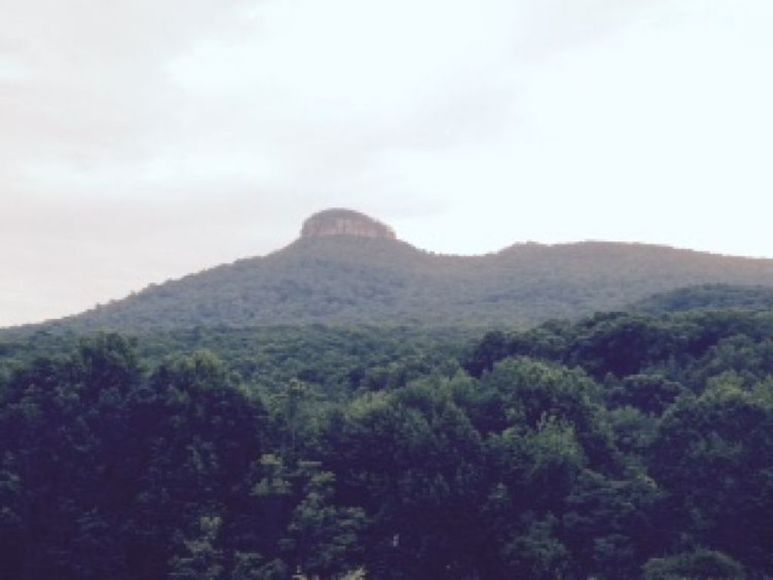 Image for Estate Auction - Pilot Mountain, NC